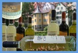 Wein-Stocherkahnfahrt